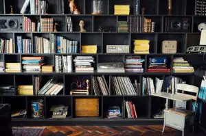 Bookshelf With Speaker