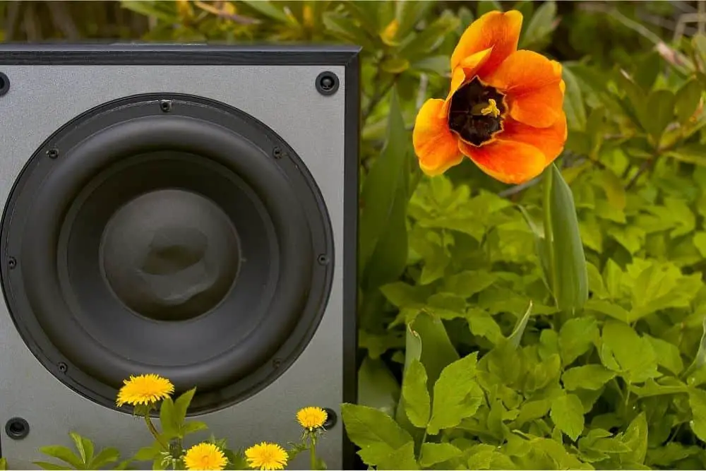 A subwoofer’s design