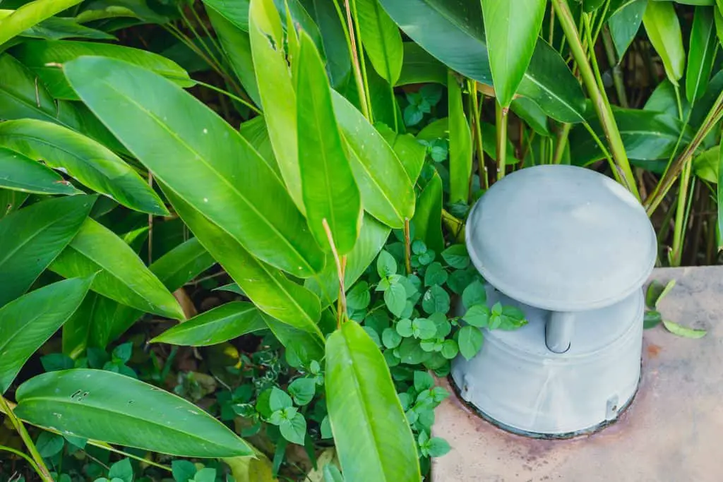 Backyard Outdoor Garden Speaker