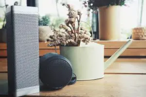 Can I Use 2 Bluetooth Speakers At The Same Time?
